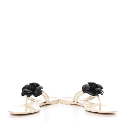 Chanel Jelly Camellia Thong Sandals 39 Ivory Black 15 of 15