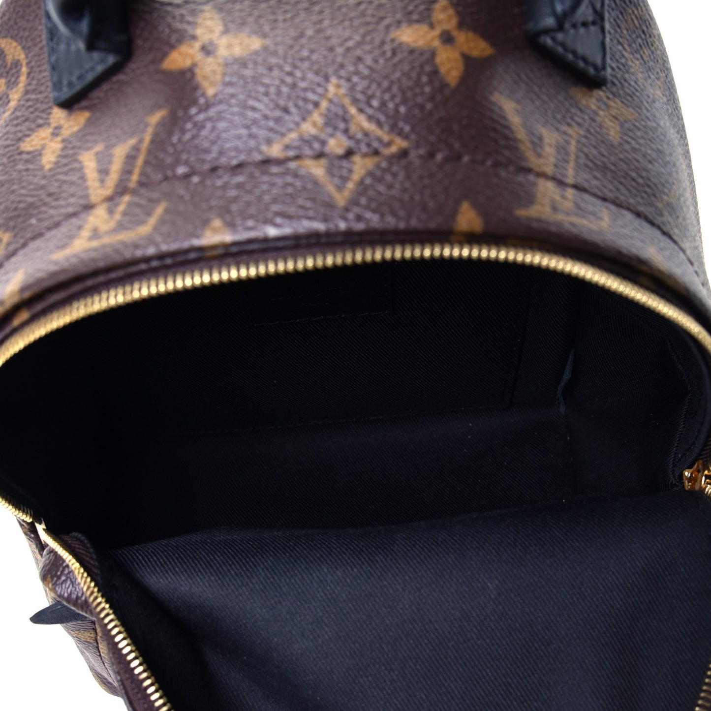 Monogram Palm Springs Backpack Mini