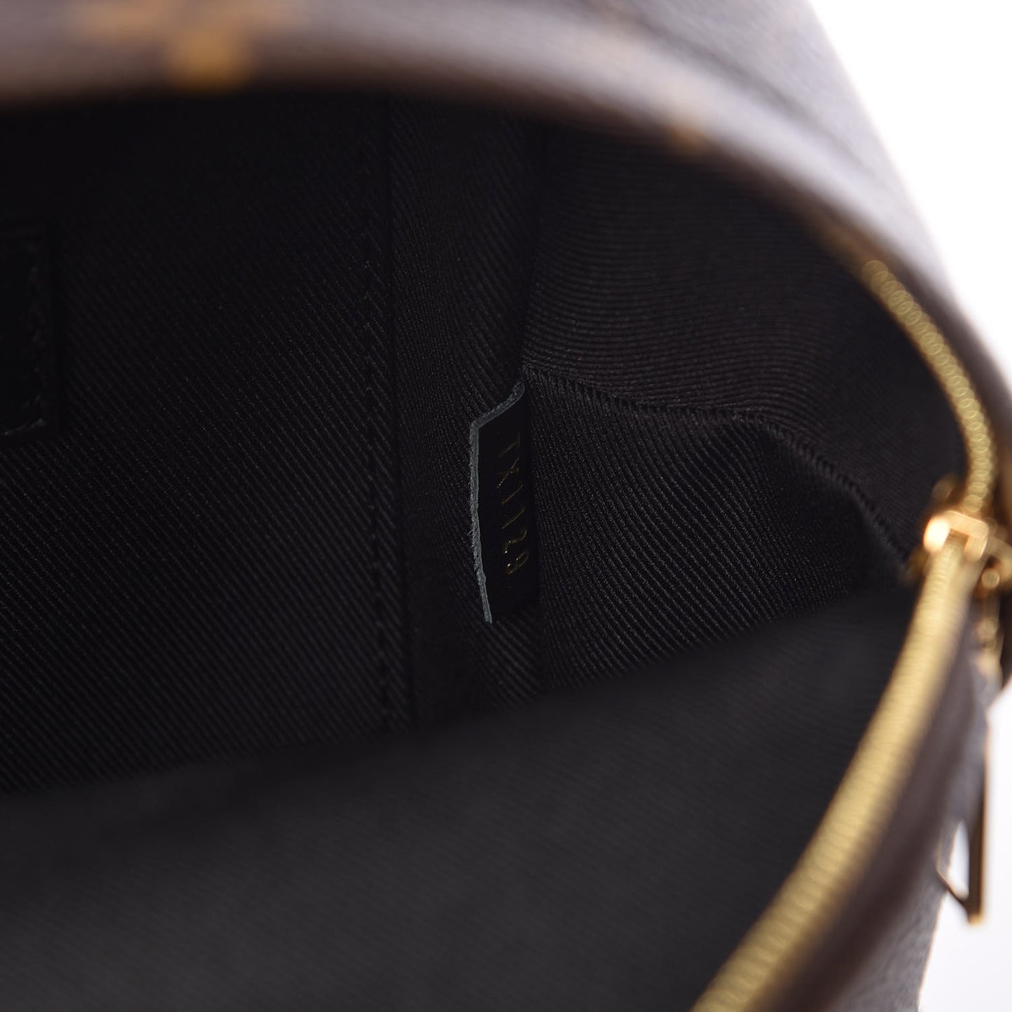 Monogram Palm Springs Backpack Mini