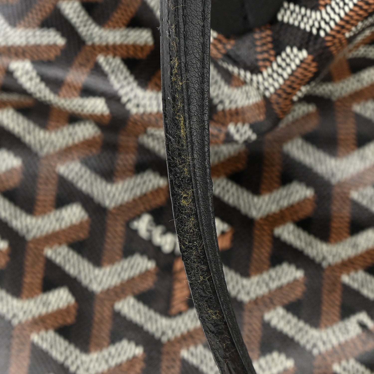 Goyard Goyardine Saint Louis PM Black 14 of 17
