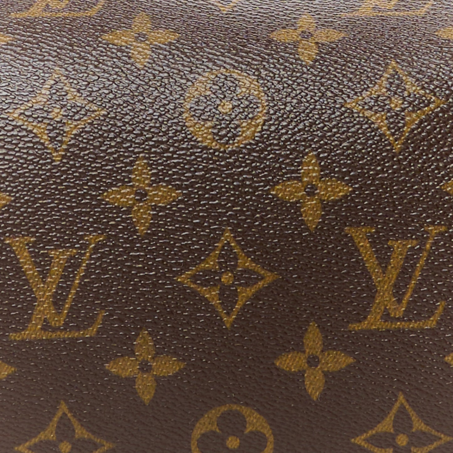 Monogram Papillon 30