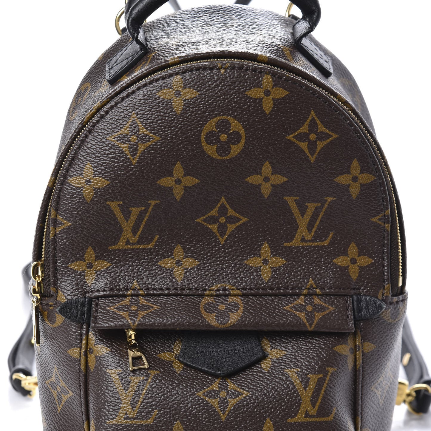 Monogram Palm Springs Backpack Mini