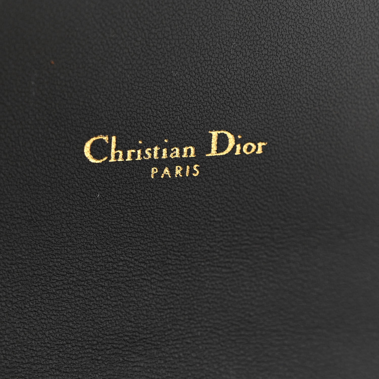 Christian Dior Supple Calfskin Caro Pouch with Chain Black 6 of 14
