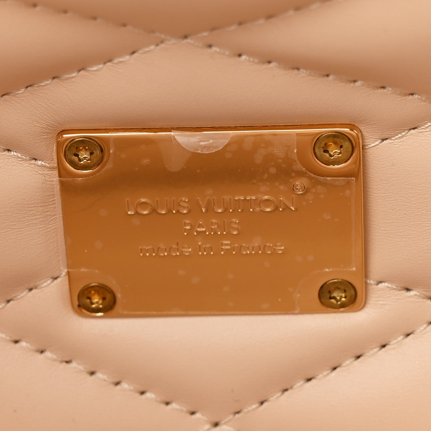 Monogram Speedy Trunk 20