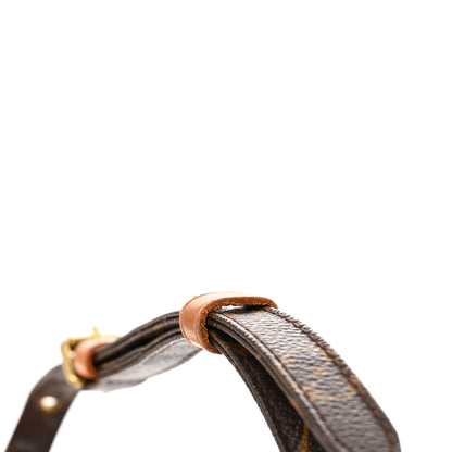 Louis Vuitton Monogram Amazone 12 of 12