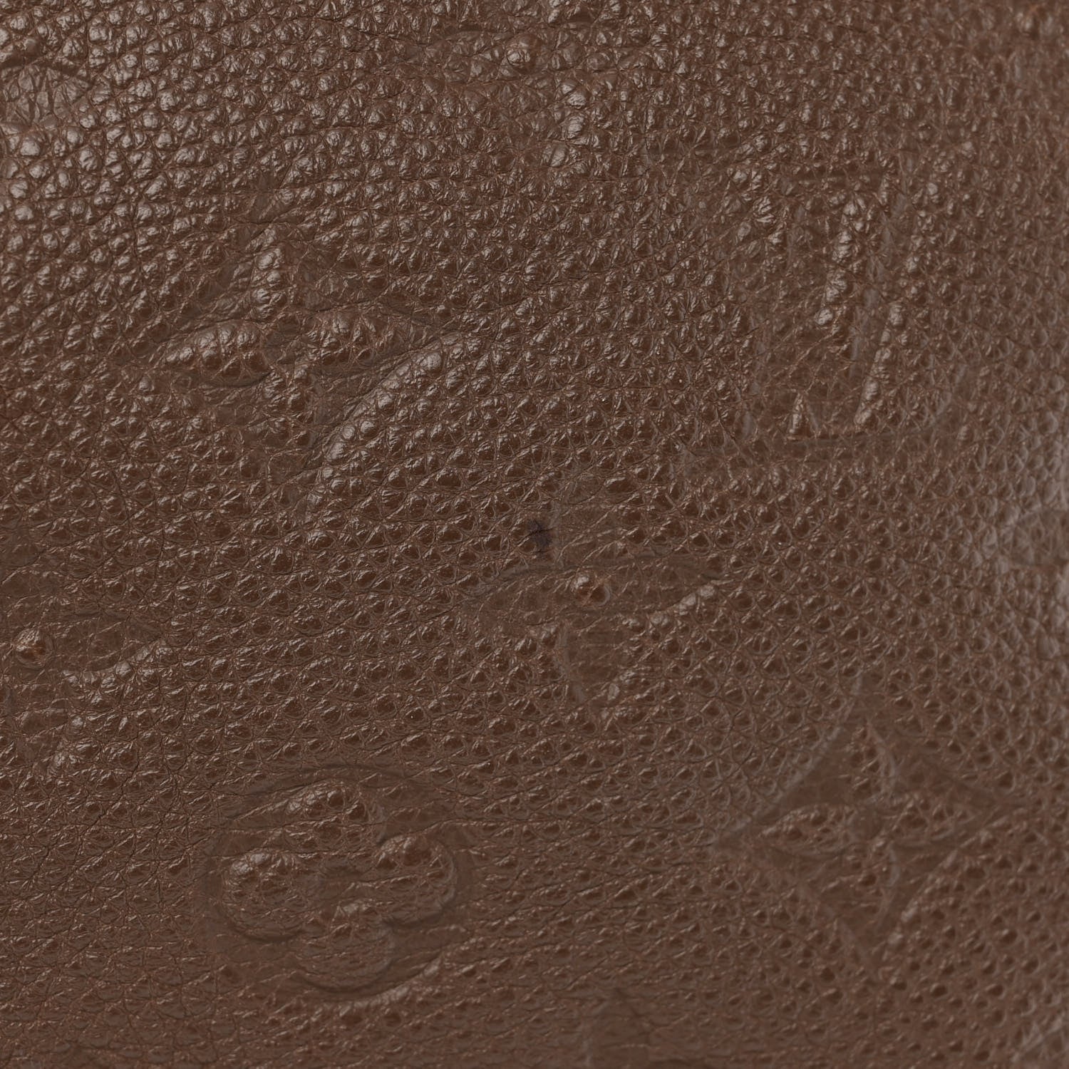 Louis Vuitton Empreinte Citadine GM Terre 9 of 13