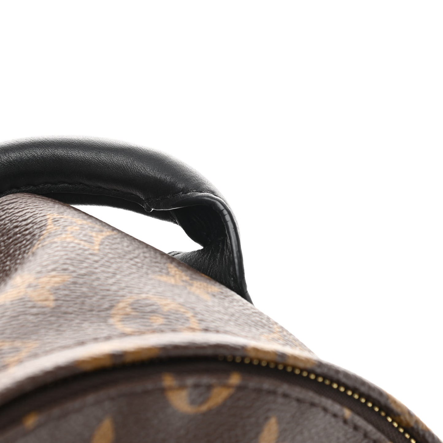 Monogram Palm Springs Backpack PM