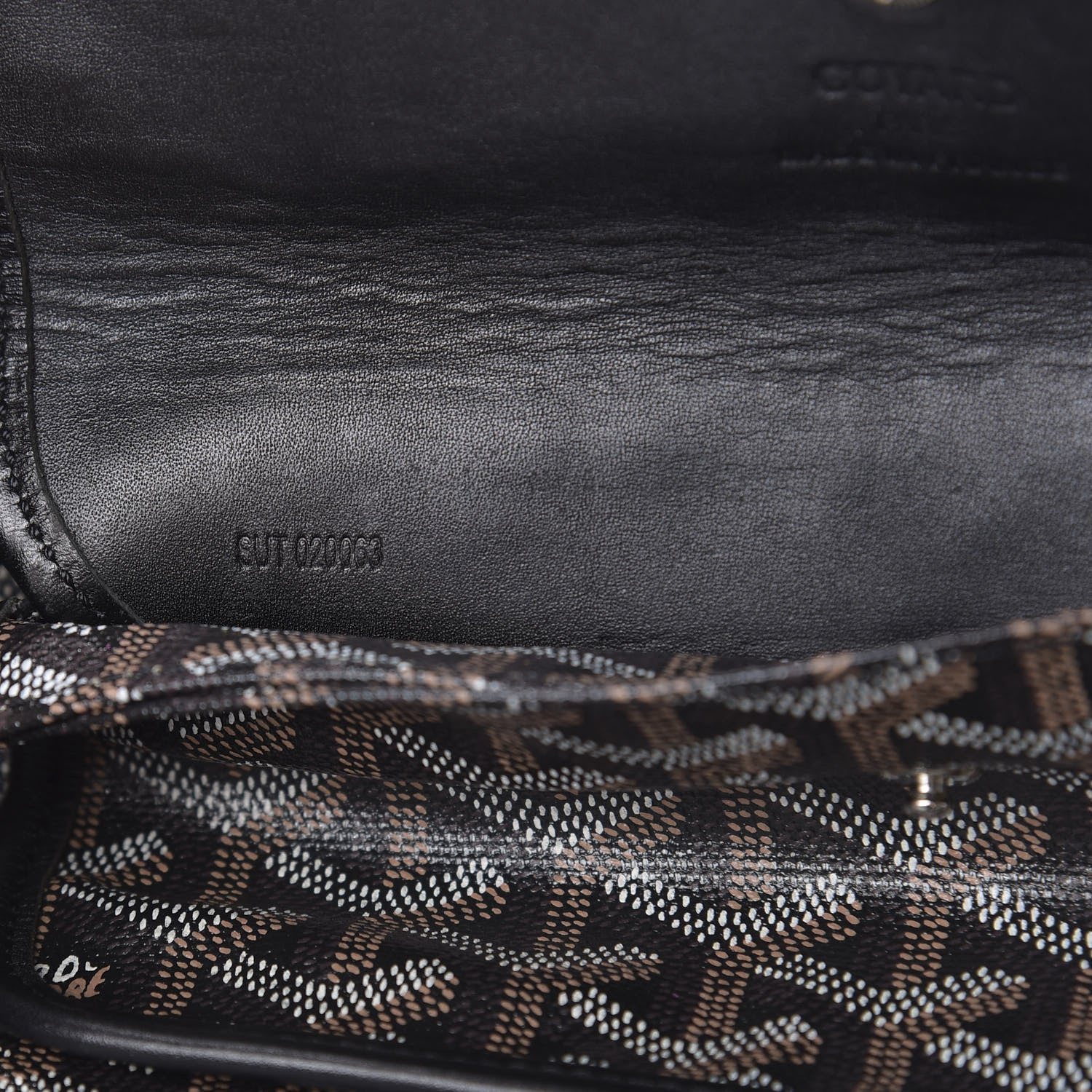 Goyard Goyardine Saint Louis PM Black 7 of 18