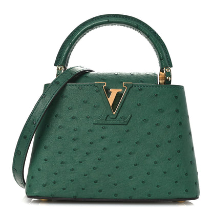 Louis Vuitton Ostrich Capucines Mini Mint 1 of 9