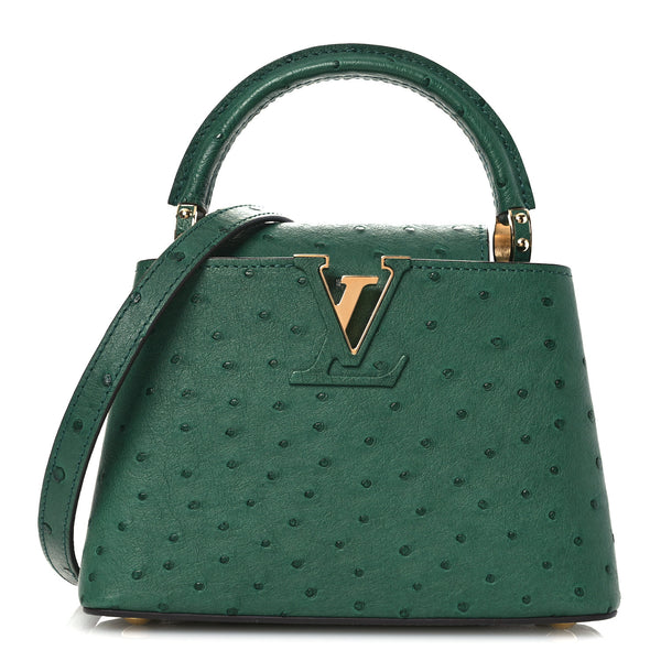 Louis Vuitton Ostrich Capucines Mini Mint 1838785 – FASHIONPHILE
