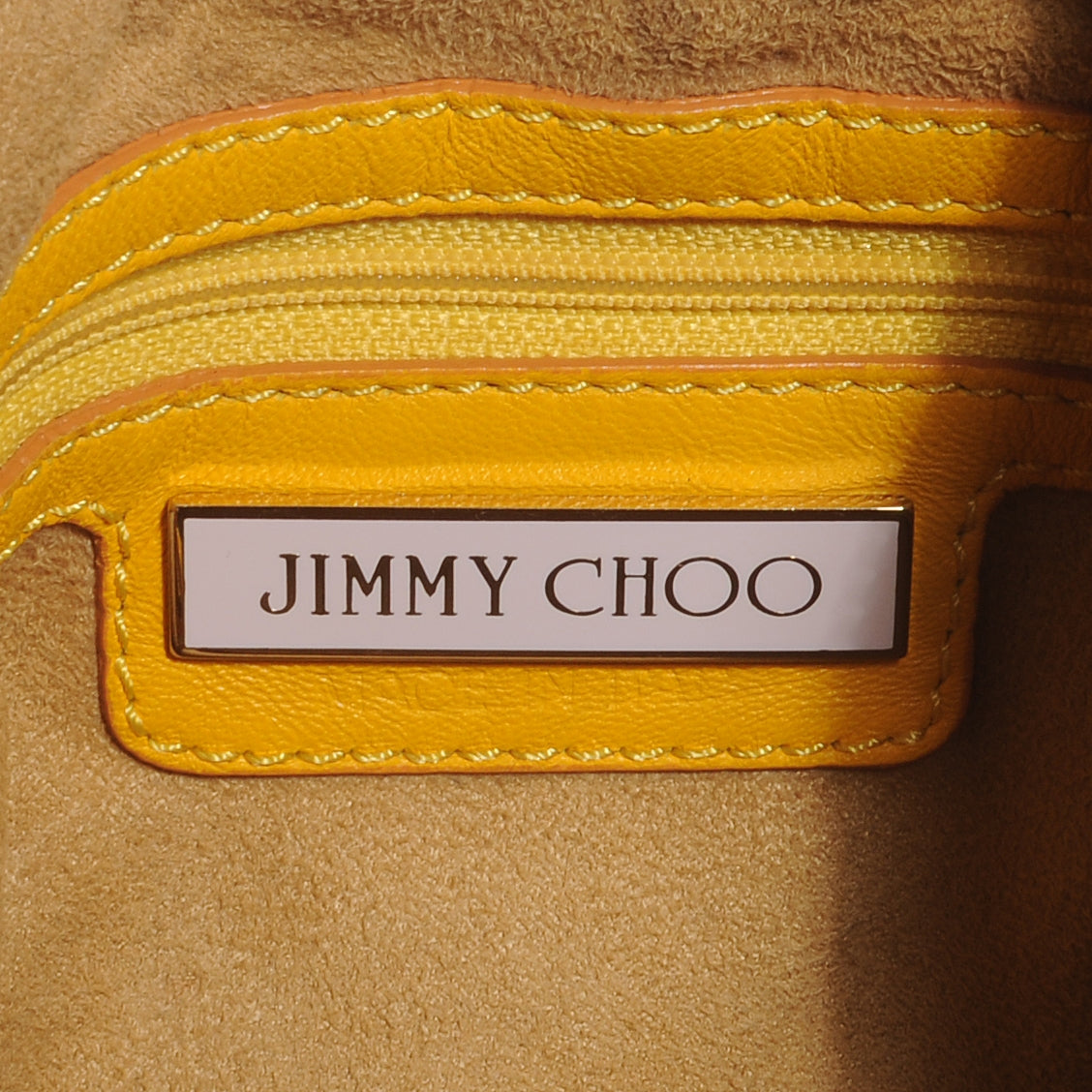 Leather Snake Trim Sky Hobo Yellow