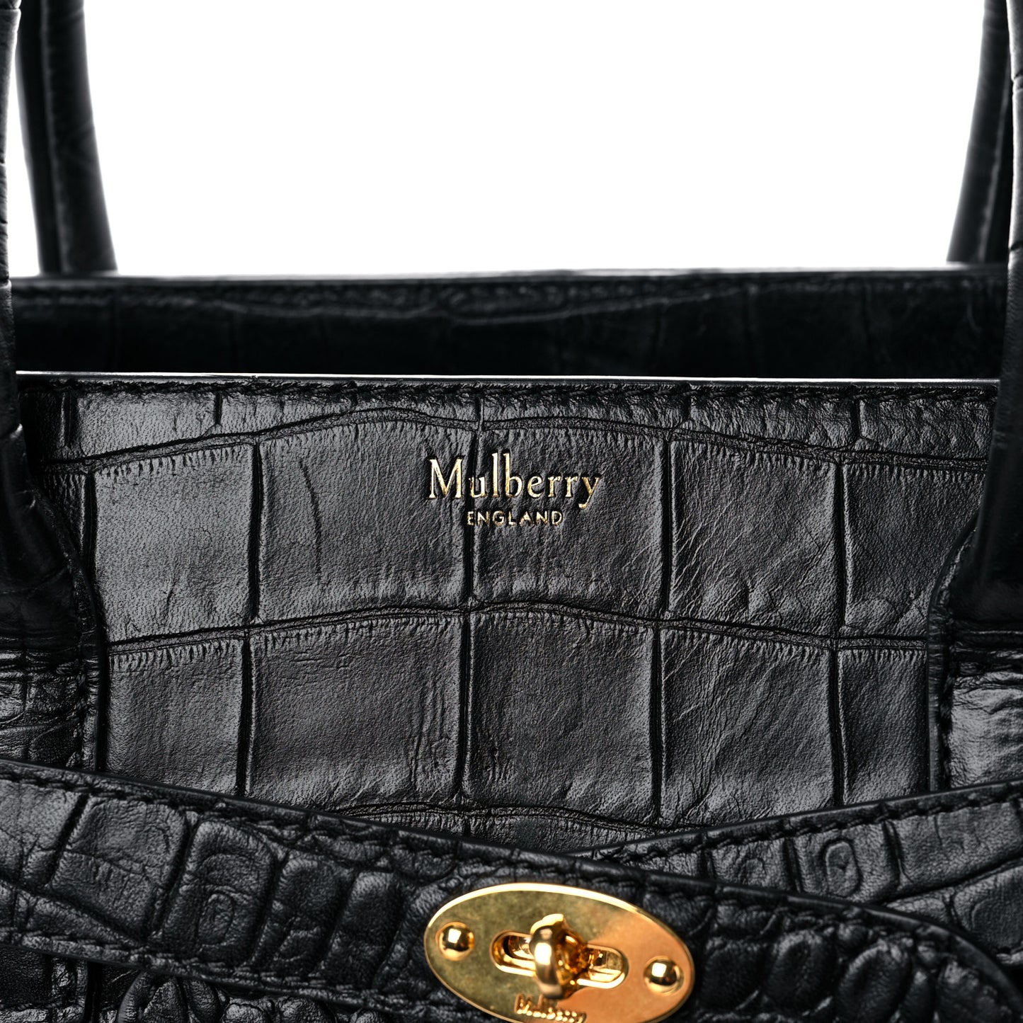 Crocodile Embossed Calfskin Small Zipped Bayswater Black