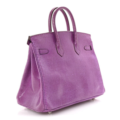 Hermes Lizard Birkin 25 Violet 3 of 11