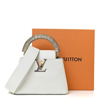 Louis Vuitton Taurillon Ayers Capucines Mini White Snow White 10 of 10