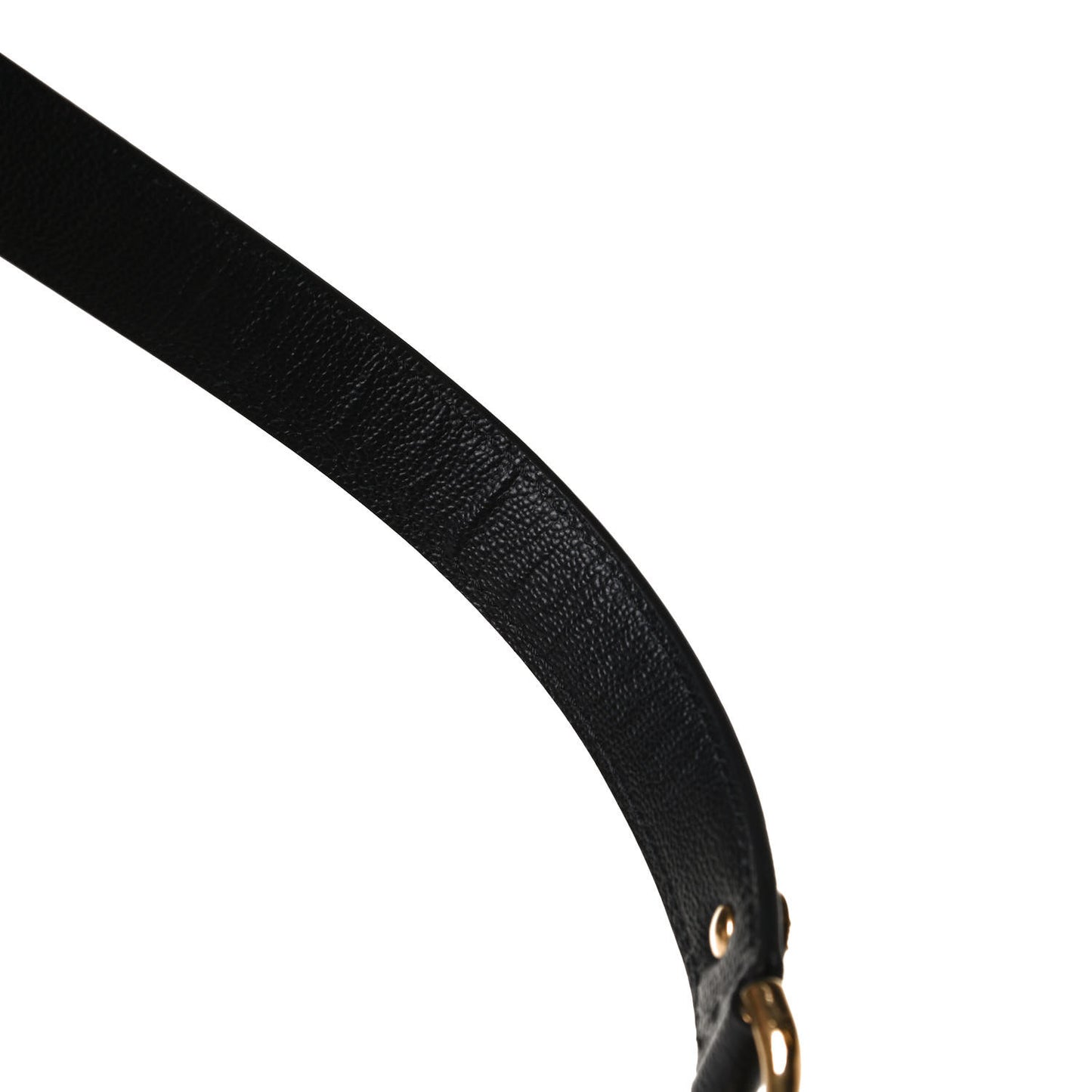 Calfskin Leopard Baroque Print Medium Icon Chain Bag Black Multicolor