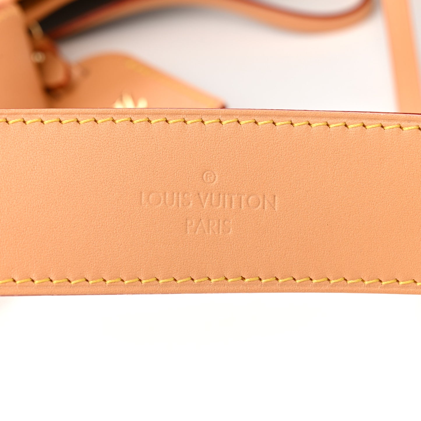 Monogram CarryAll MM