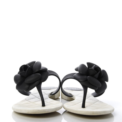 Chanel Jelly Quilted Camellia Thong Sandals 38 White Black 2 of 8