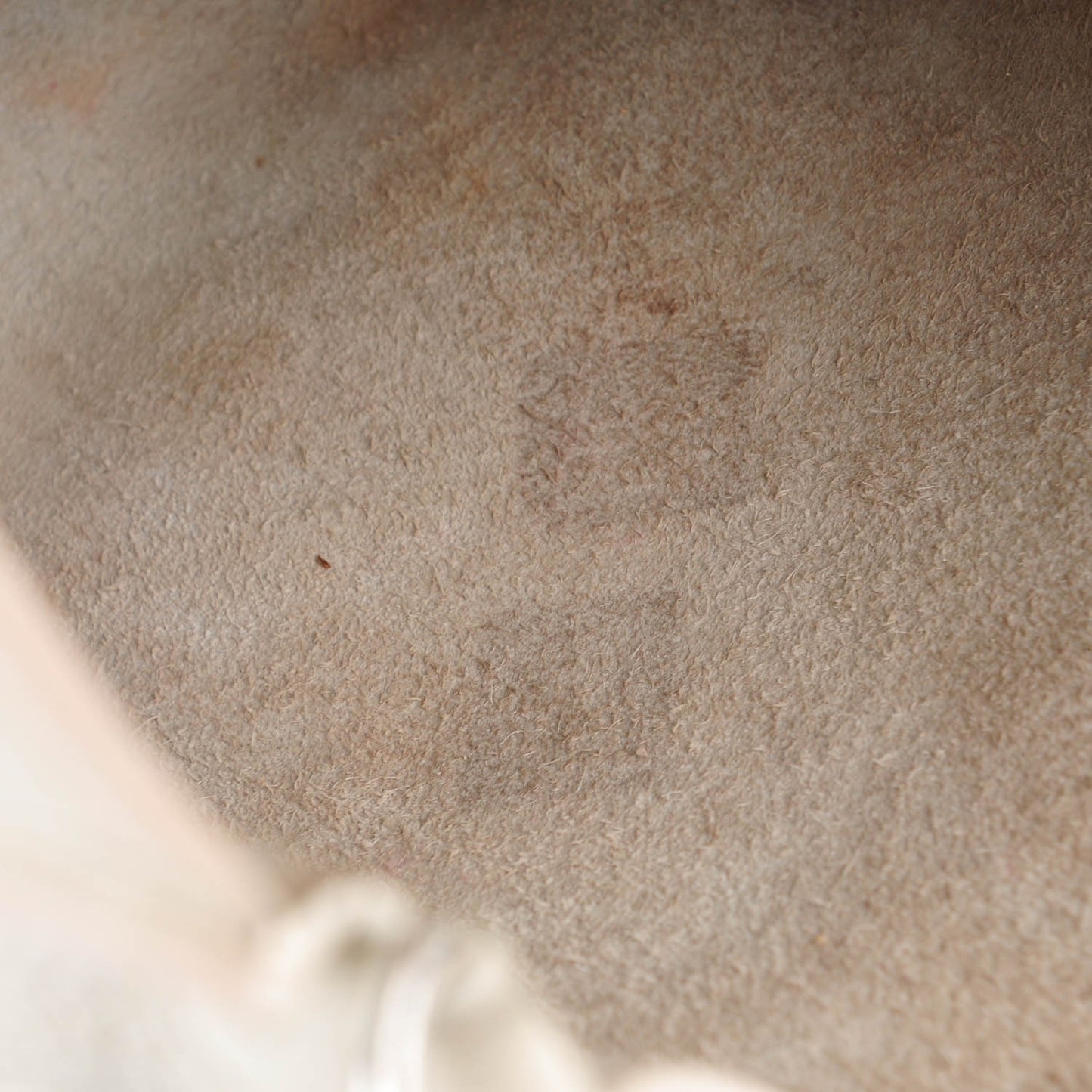 Taurillon Clemence Evelyne II GM White