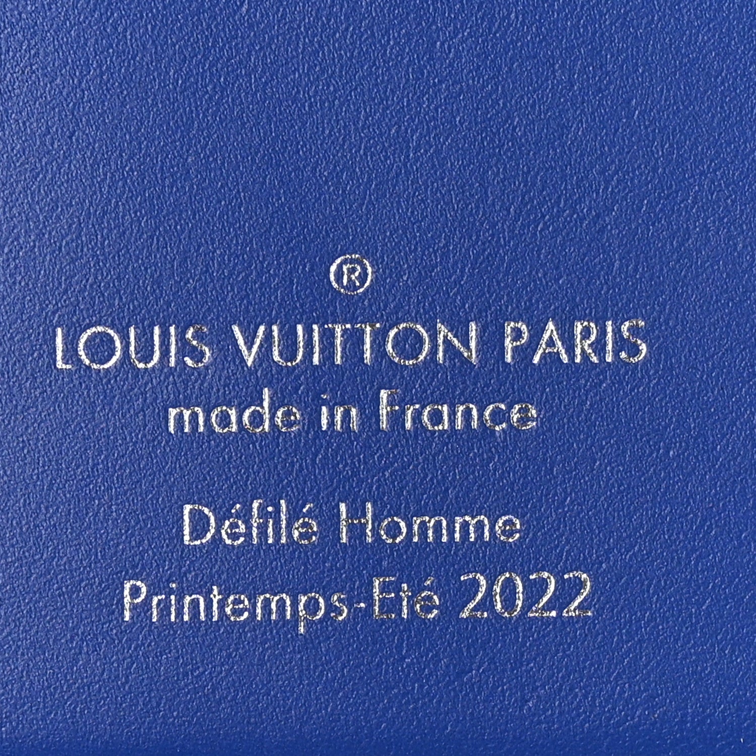 Louis Vuitton Taurillon Illusion Pocket Organizer Bleu Vert 6 of 7