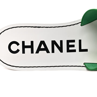 Chanel Calfskin CC Mules 39 Green White 8 of 8