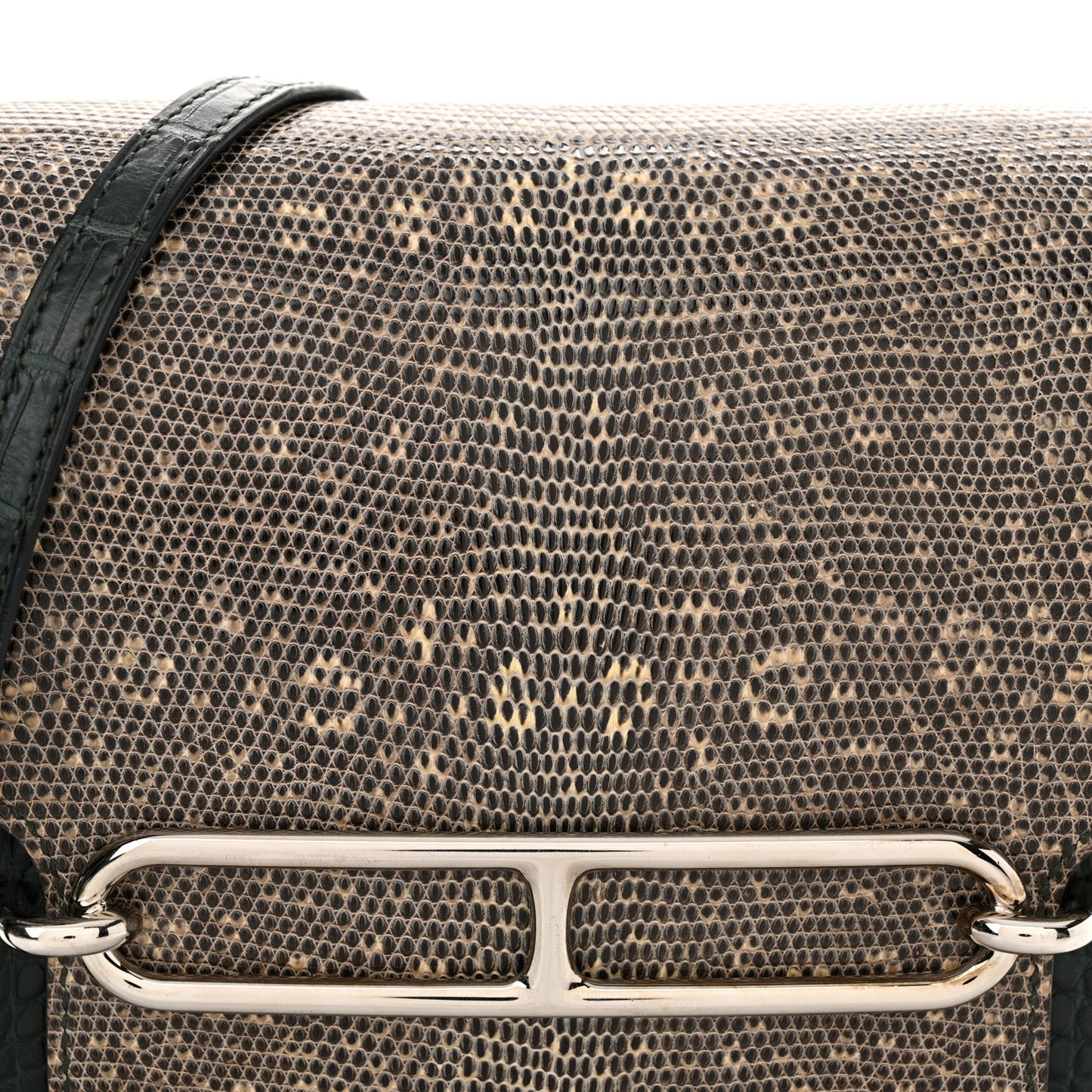 Matte Alligator Lizard Mini Sac Roulis Ombre Vert Fonce