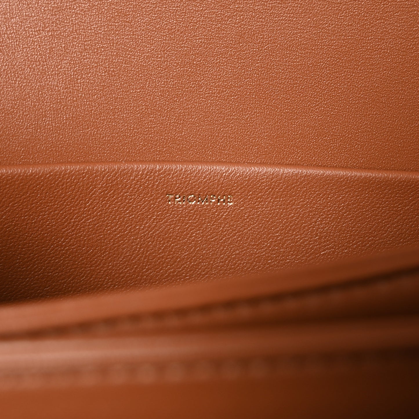 Natural Calfskin Medium Triomphe Tan