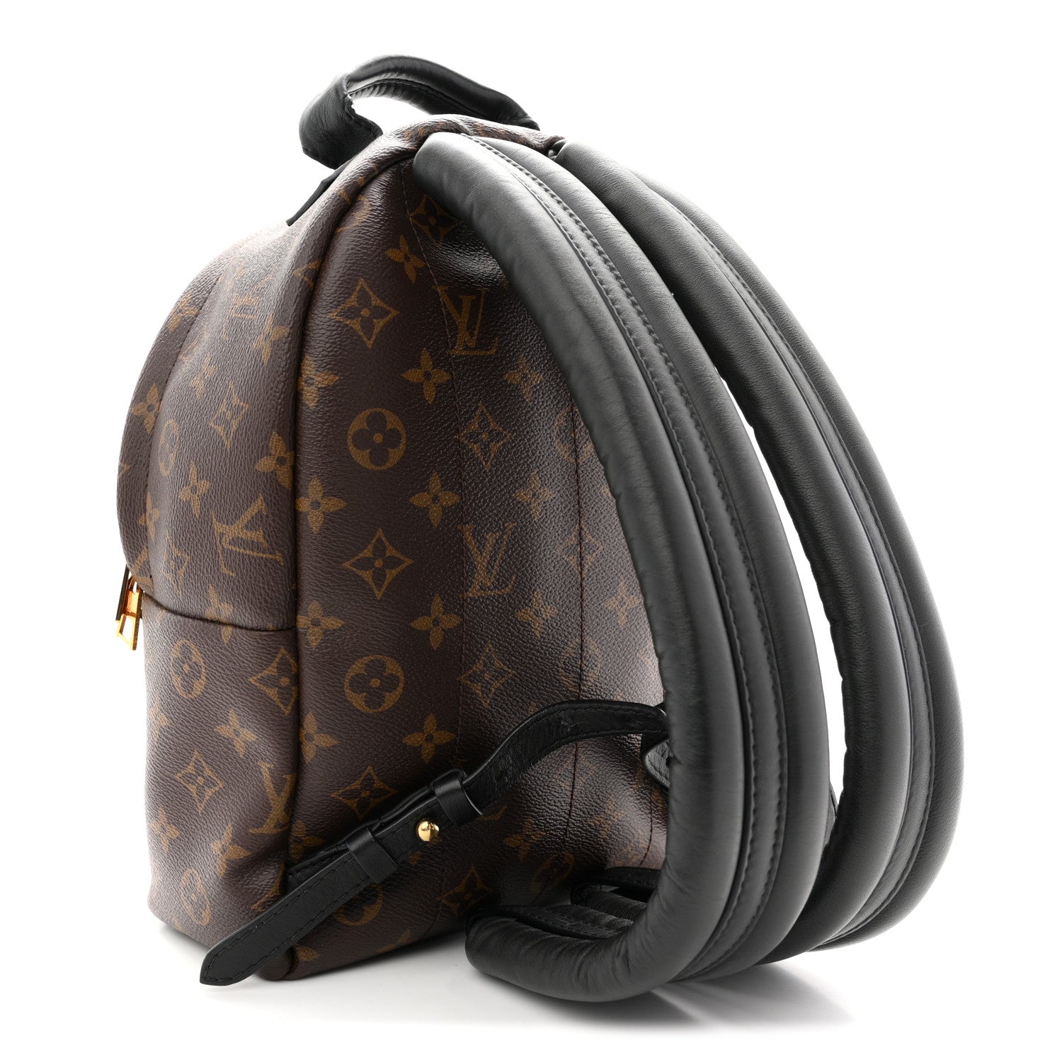 Louis Vuitton Monogram Palm Springs Backpack PM 3 of 12