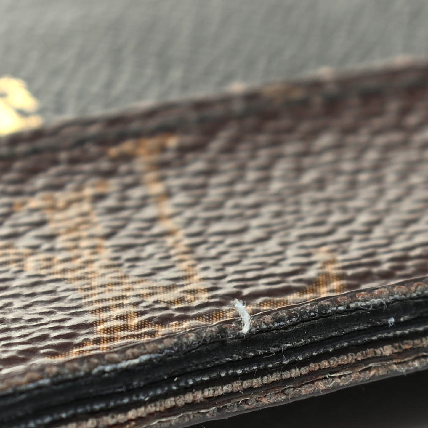 Monogram Macassar Gaspar Wallet