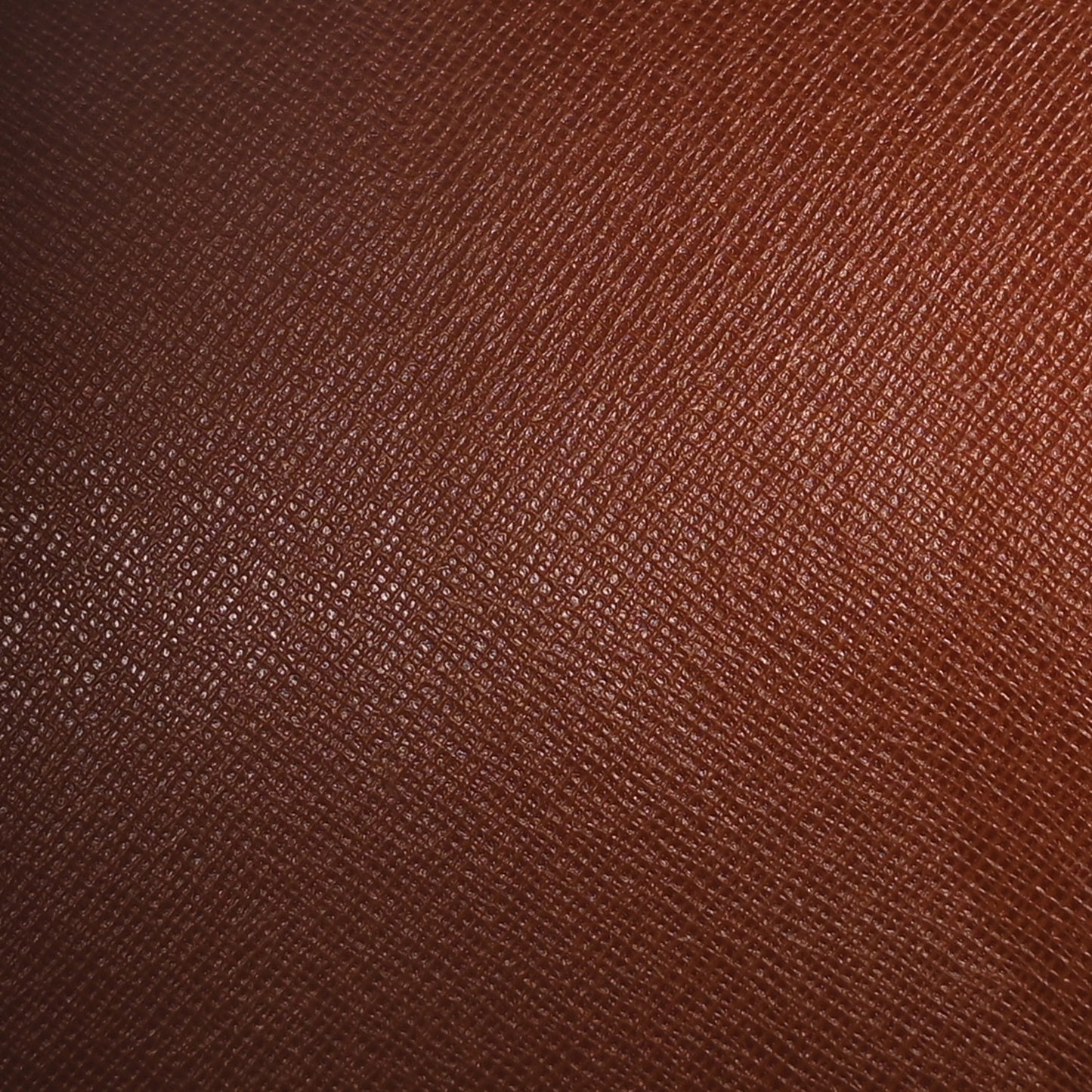 Monogram Papillon 26