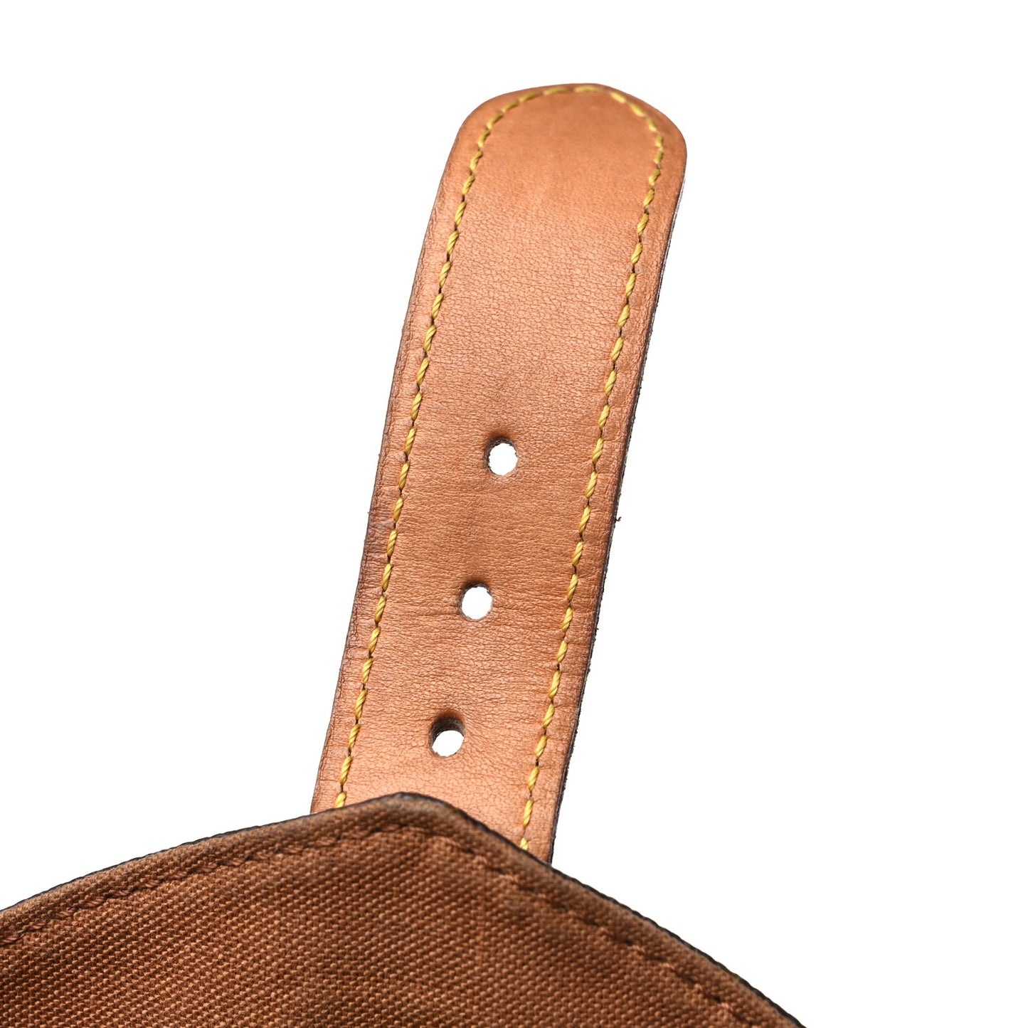 Monogram Montsouris GM Backpack