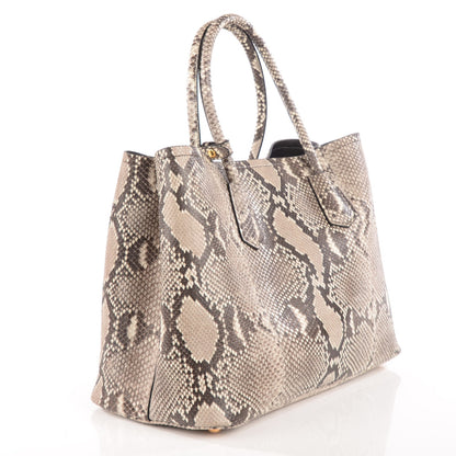 Prada Python Large Double Bag Roccia 3 of 10