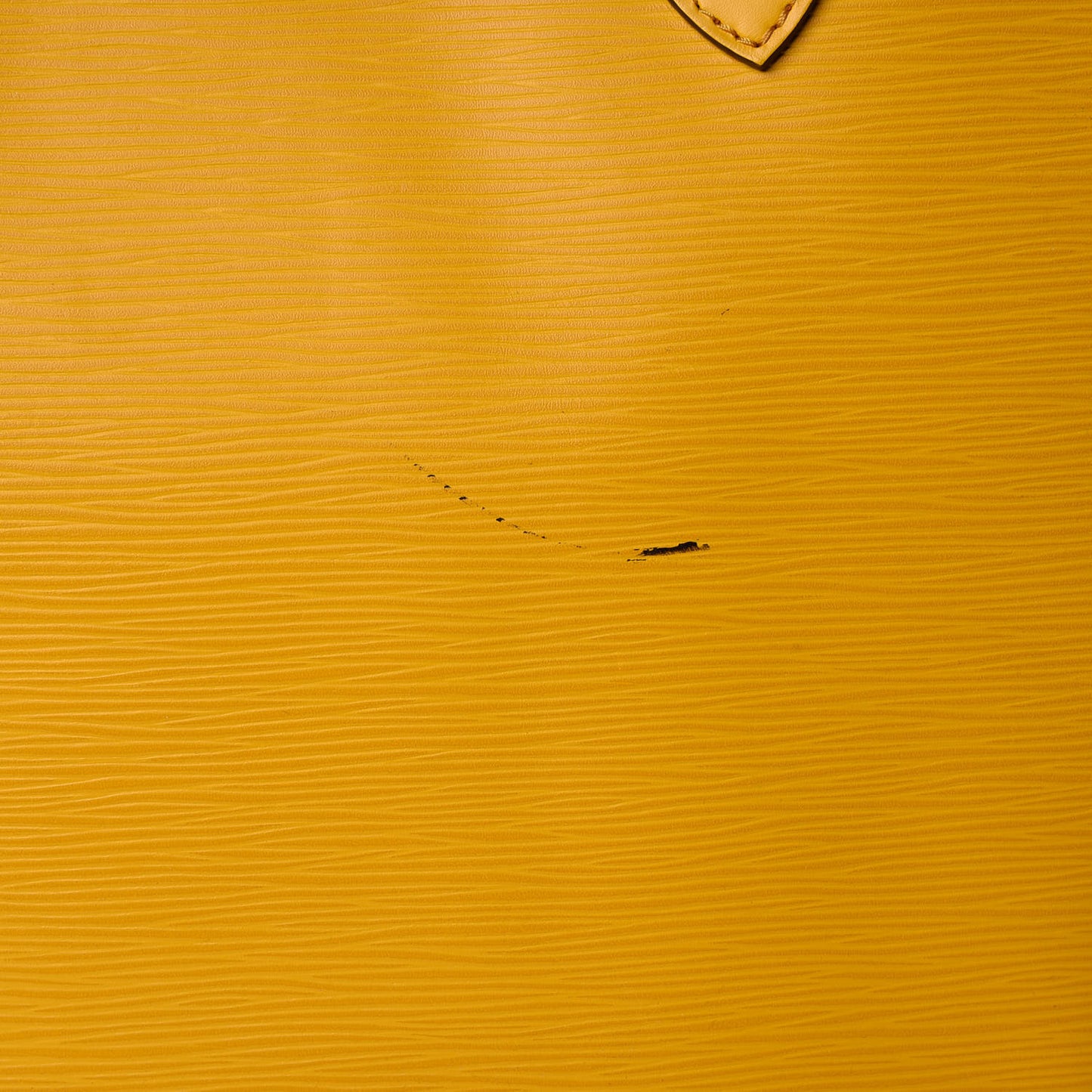 Epi Neverfull MM Mimosa