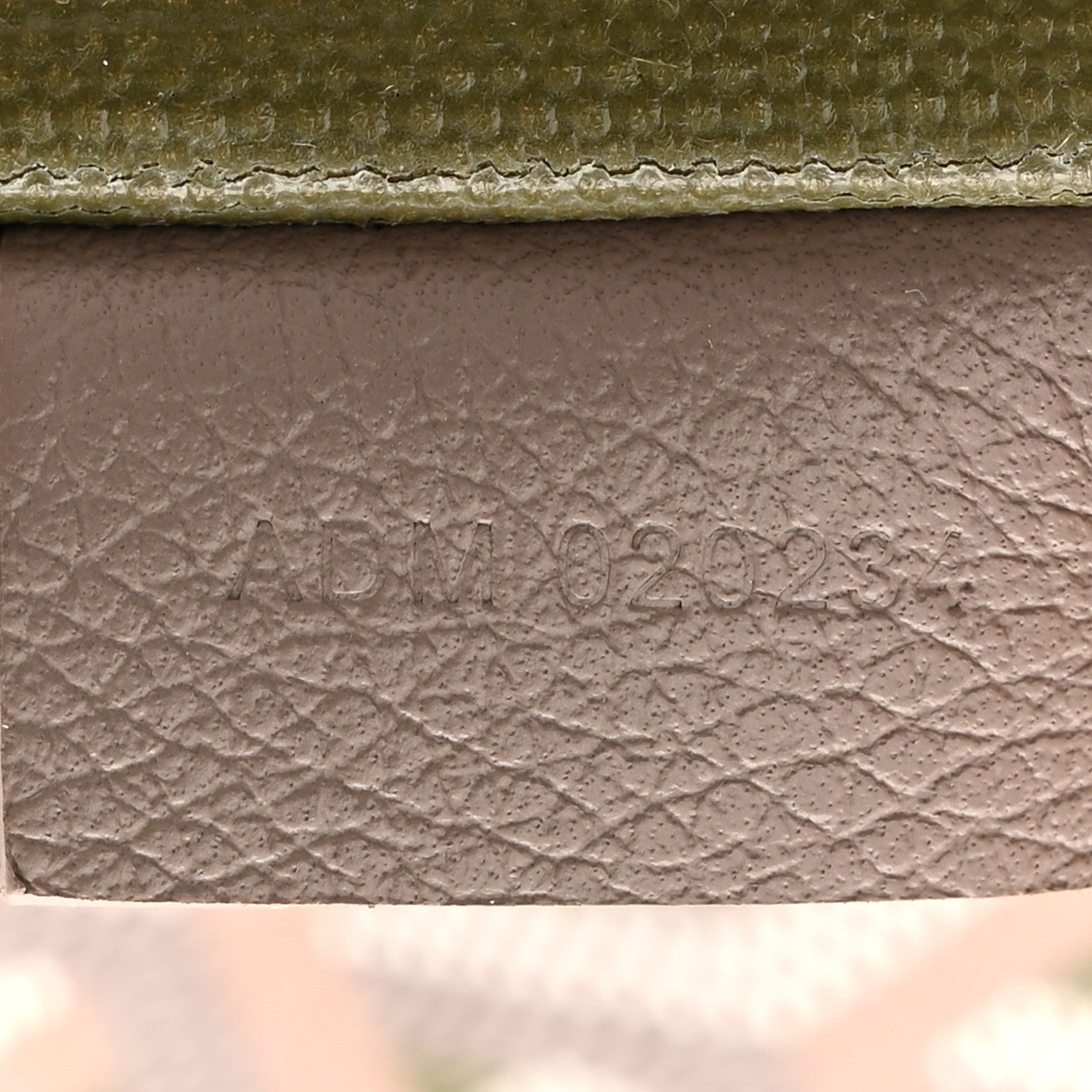 Goyard Goyardine Poitiers Claire Voie Tote Grege Khaki 7 of 10