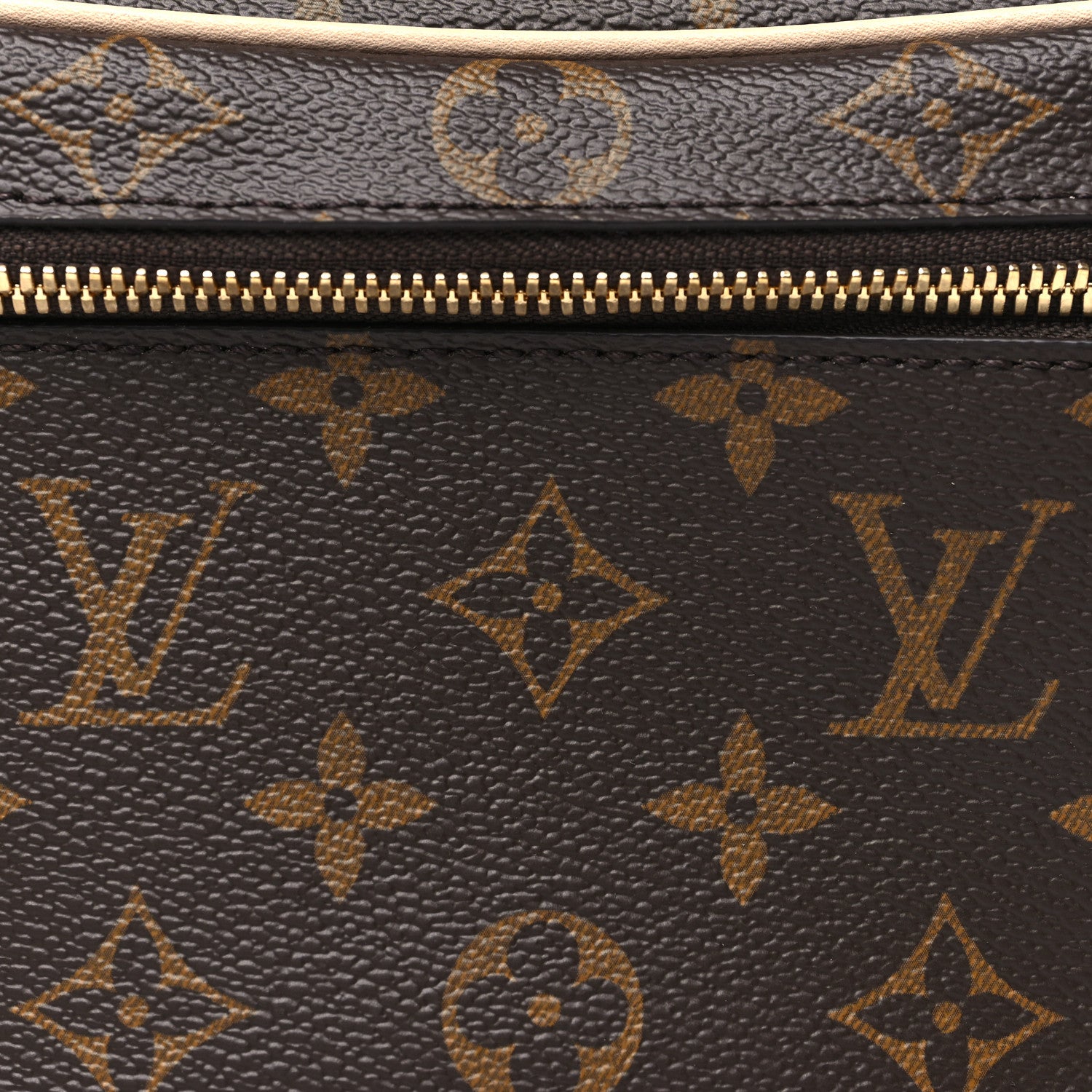 Louis Vuitton Monogram Nice Mini 7 of 10