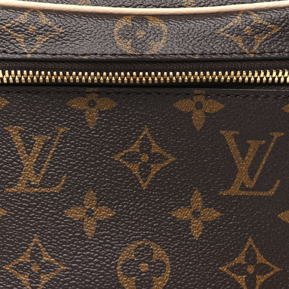 Louis Vuitton Monogram Nice Mini 7 of 10