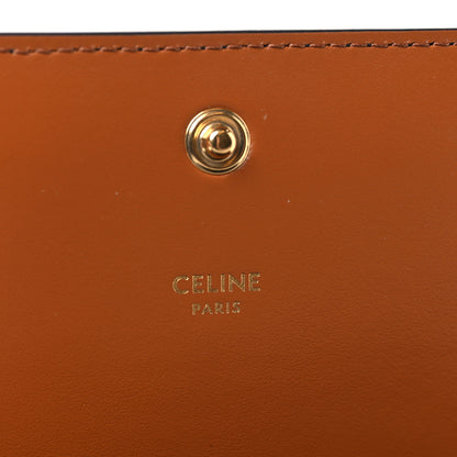 Celine Triomphe Canvas Multipochette Tan 6 of 11