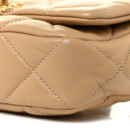 Chanel Goatskin Quilted Chanel 19 Waist Bag Dark Beige 5 of 11