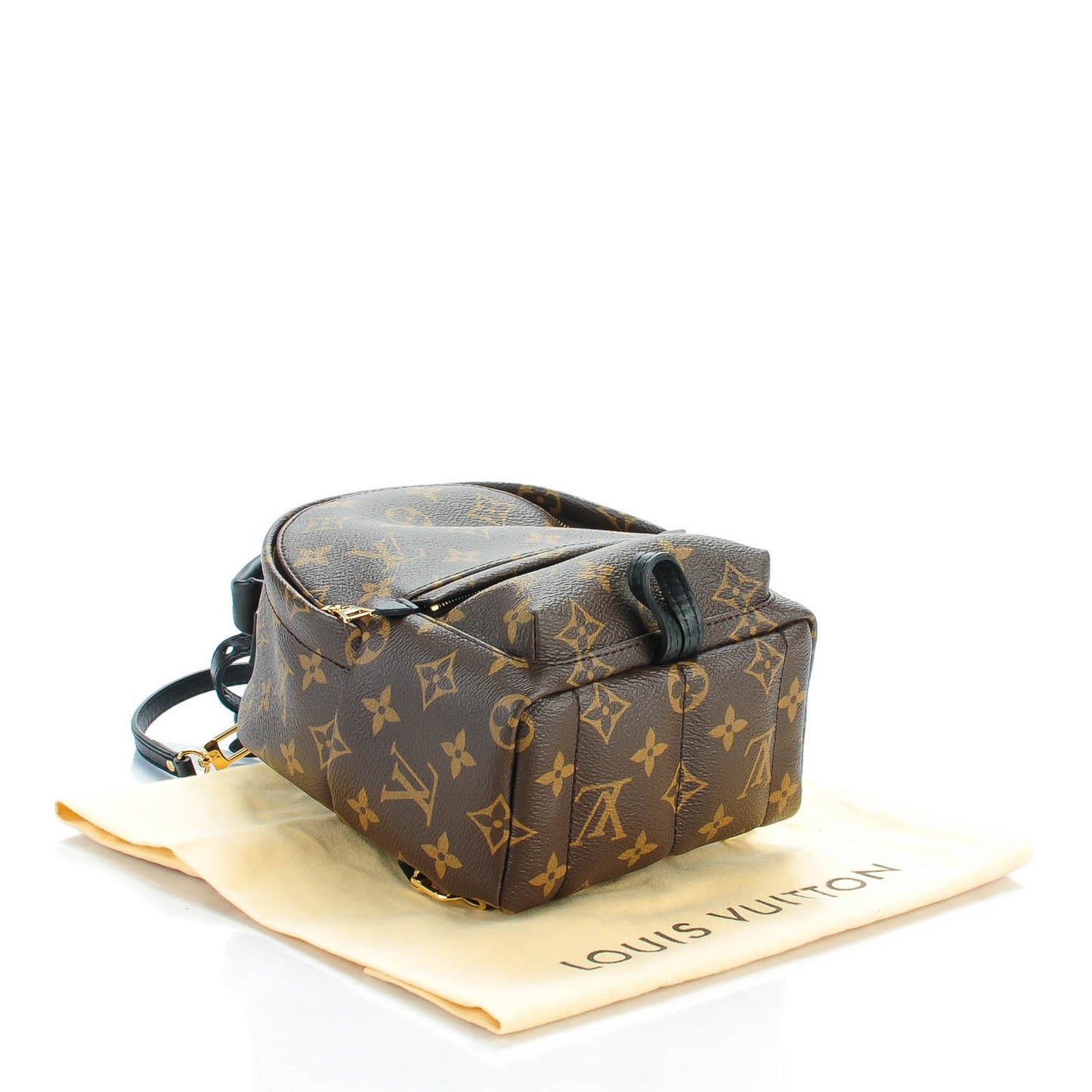 Monogram Palm Springs Backpack Mini