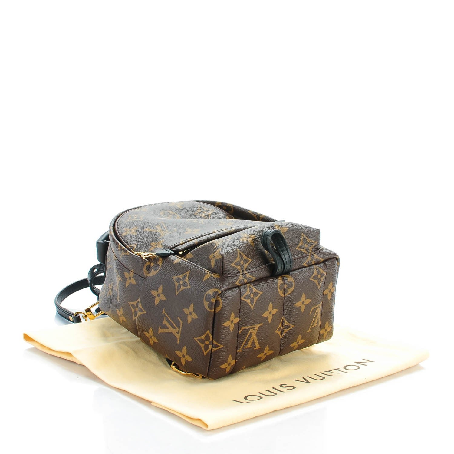 Louis Vuitton Monogram Palm Springs Backpack Mini 4 of 7