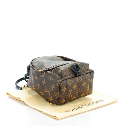 Louis Vuitton Monogram Palm Springs Backpack Mini 4 of 7