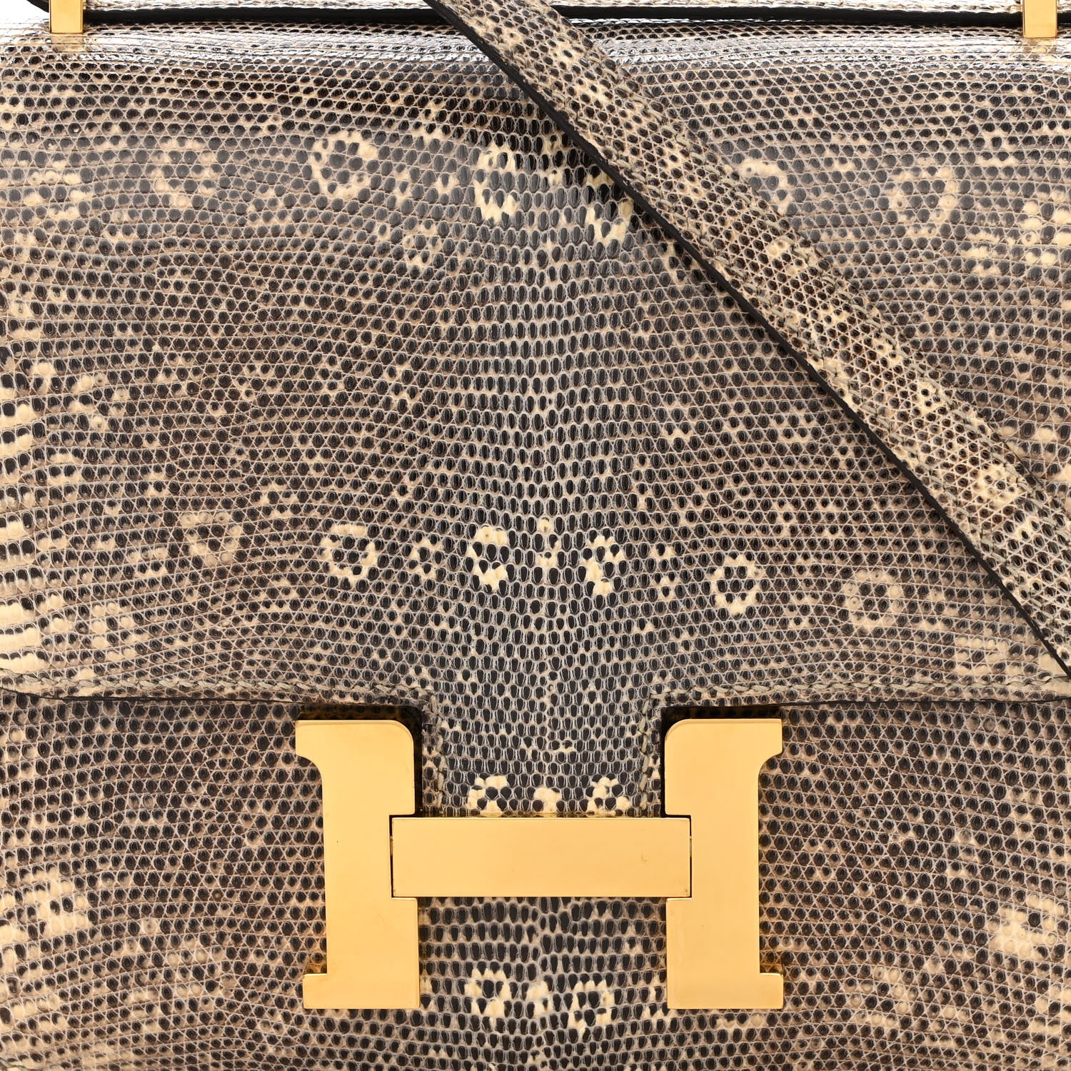 Hermes Lizard Constance 18 Ombre 8 of 11