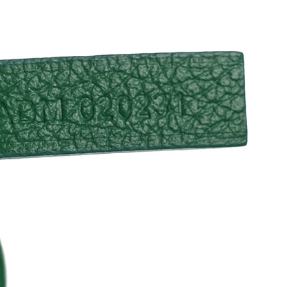 Goyard Goyardine Saint Louis PM Green 8 of 11