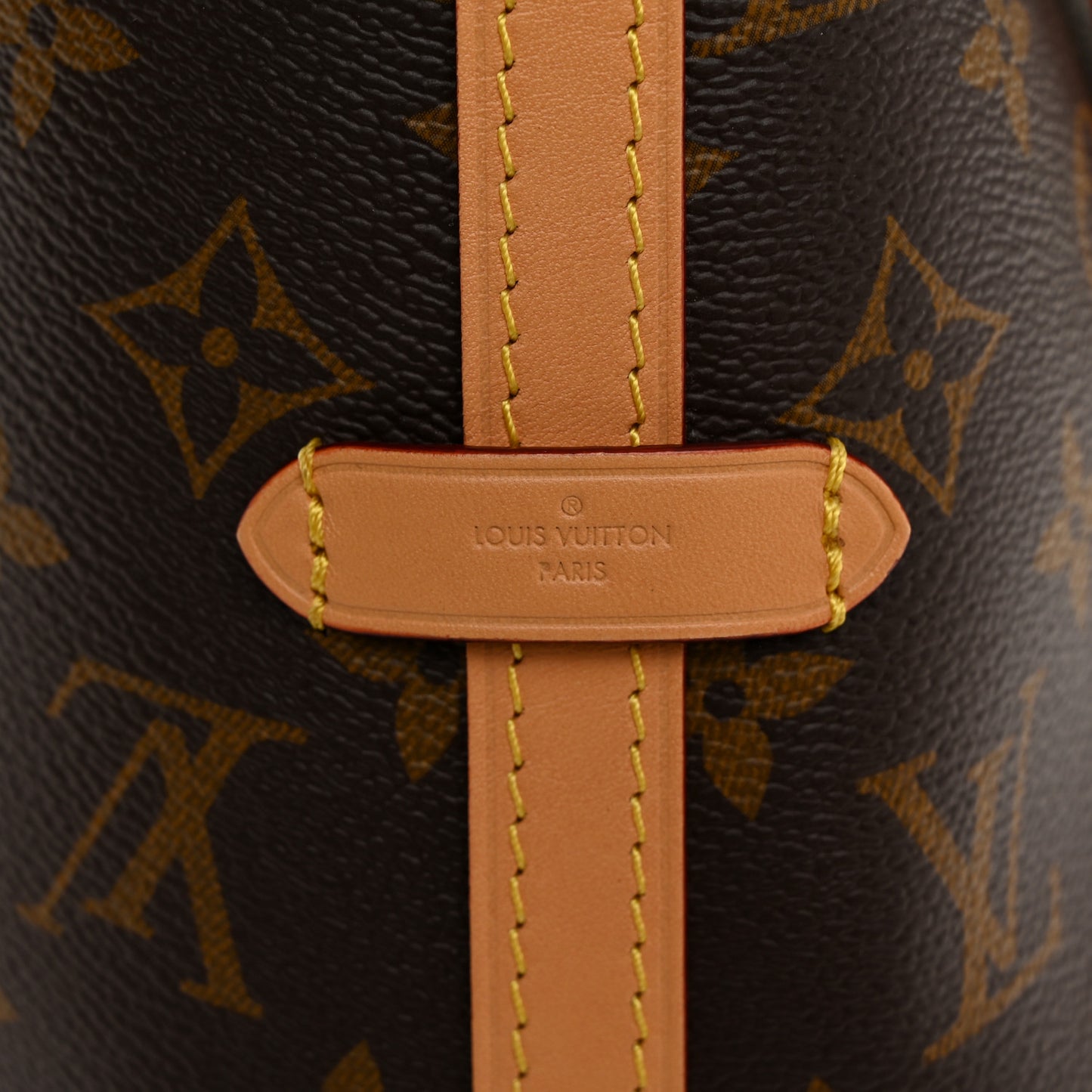 Monogram CarryAll PM