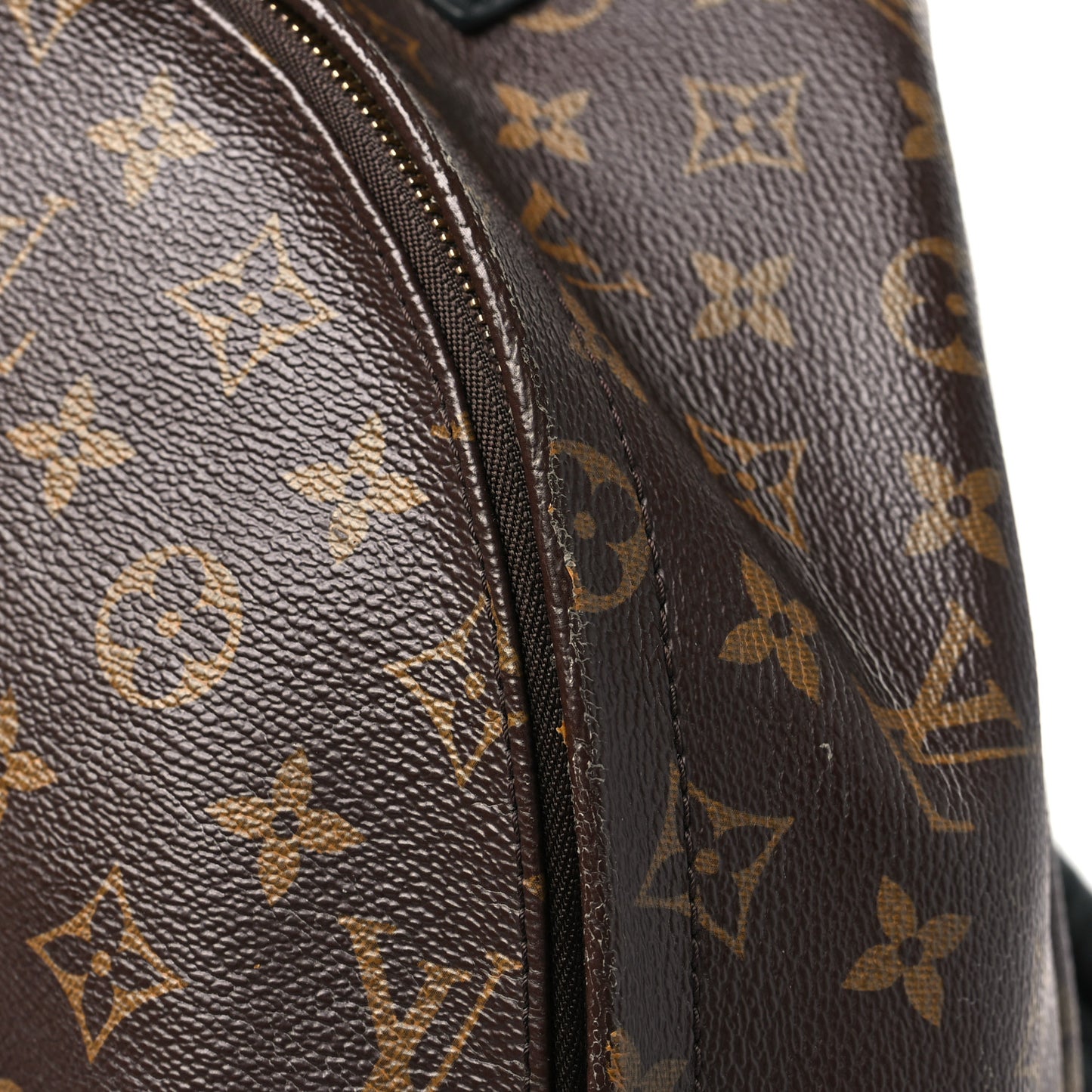 Monogram Palm Springs Backpack MM