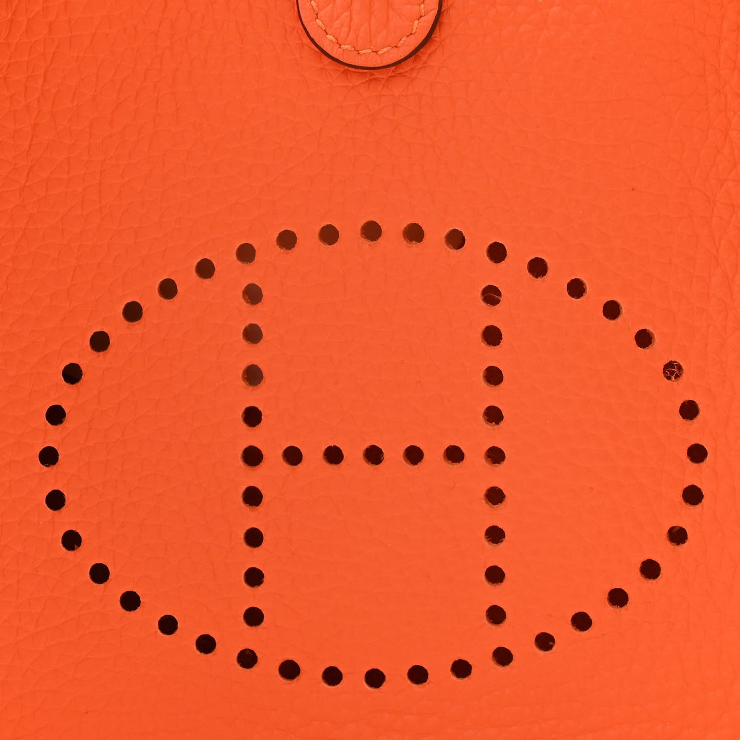 Taurillon Clemence Evelyne TPM Orange