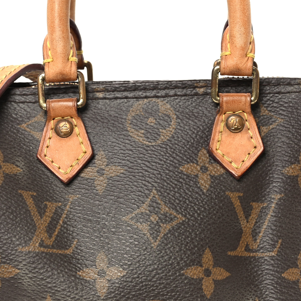 Monogram Nano Speedy