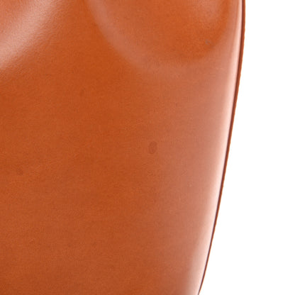 Mansur Gavriel Vegetable Tanned Calfskin Mini Bucket Bag Cammello Dolly 11 of 11