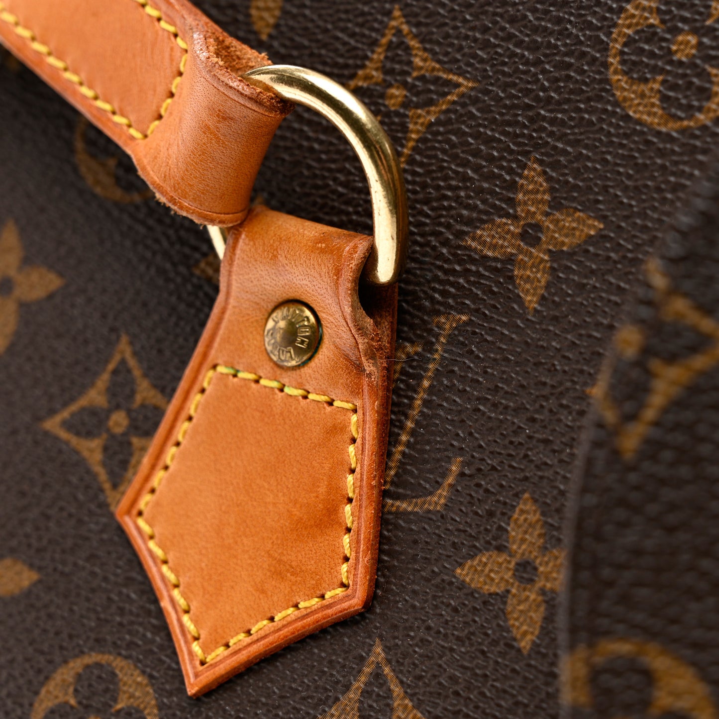 Monogram Ellipse GM Shopping Bag