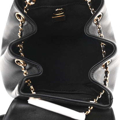 Chanel Lambskin Quilted Small Duma Drawstring Backpack Black 5 of 10