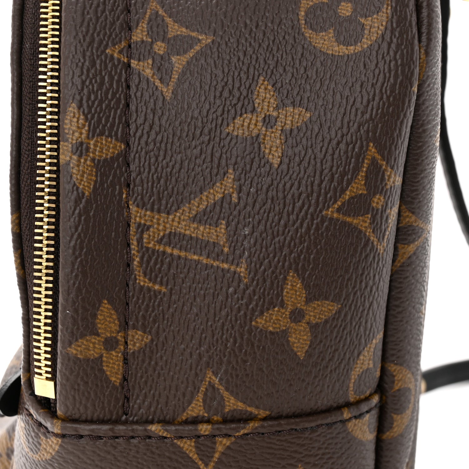 Louis Vuitton Monogram Palm Springs Backpack Mini 10 of 10